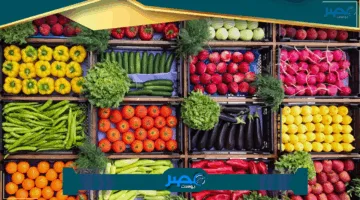 «تحديث الأسعار» الخضار والفواكه اليوم بأسواق 12 يونيو 2025